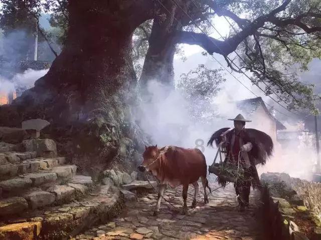 复活节记忆卡