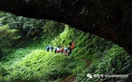 僵尸辨色球