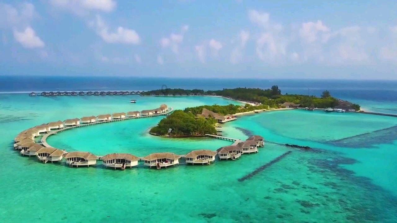 小猫钓鱼开船版最新版下载