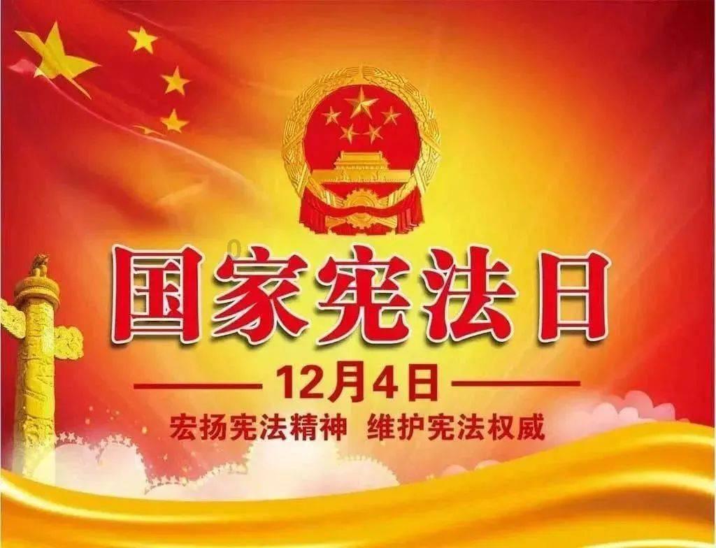 小艾比摄影家