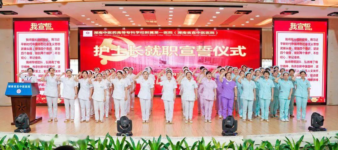 细胞分裂5